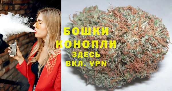 Альфа ПВП Инта