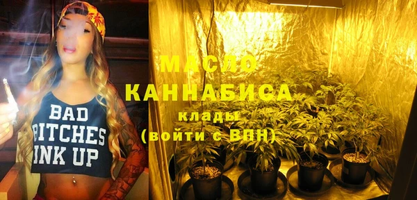 Альфа ПВП Инта