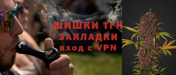 Альфа ПВП Инта