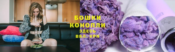 Альфа ПВП Инта
