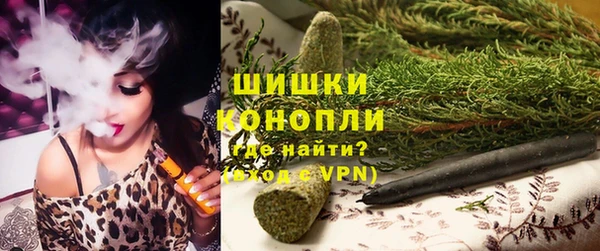 Альфа ПВП Инта