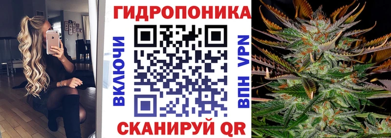 Купить где Калининск Бошки Шишки план
